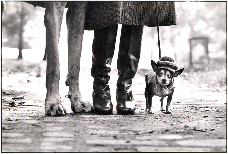 Elliott Erwitt 